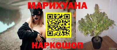 прущие грибы Волгодонск