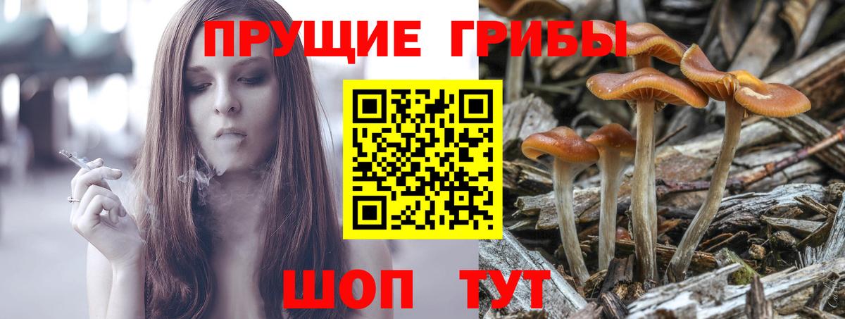 Галлюциногенные грибы Magic Shrooms  Вход с VPN  Ликино-Дулёво 